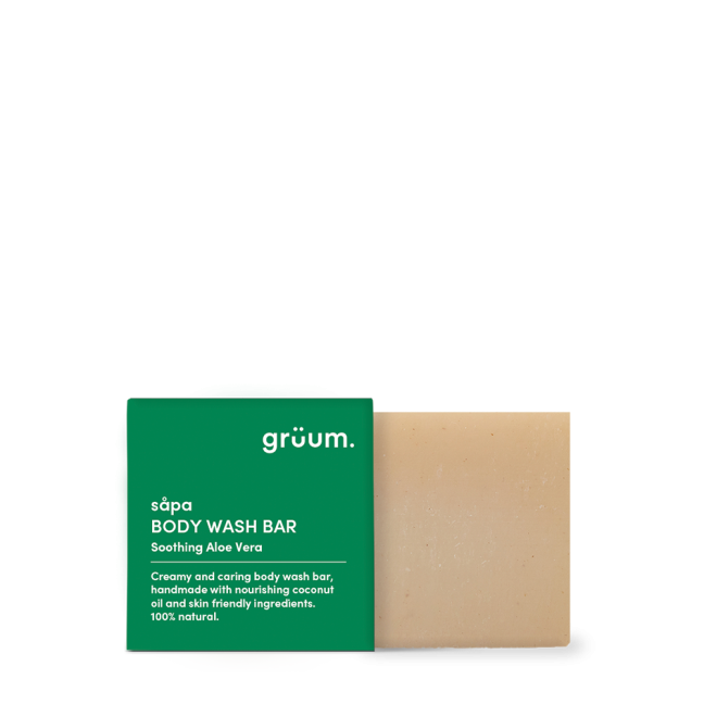 Body wash bar with packaging