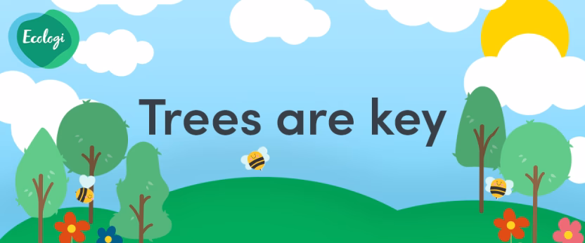 Illustration of trees and bees