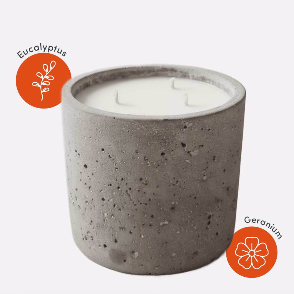 Concrete candle with eucalyptus and geranium