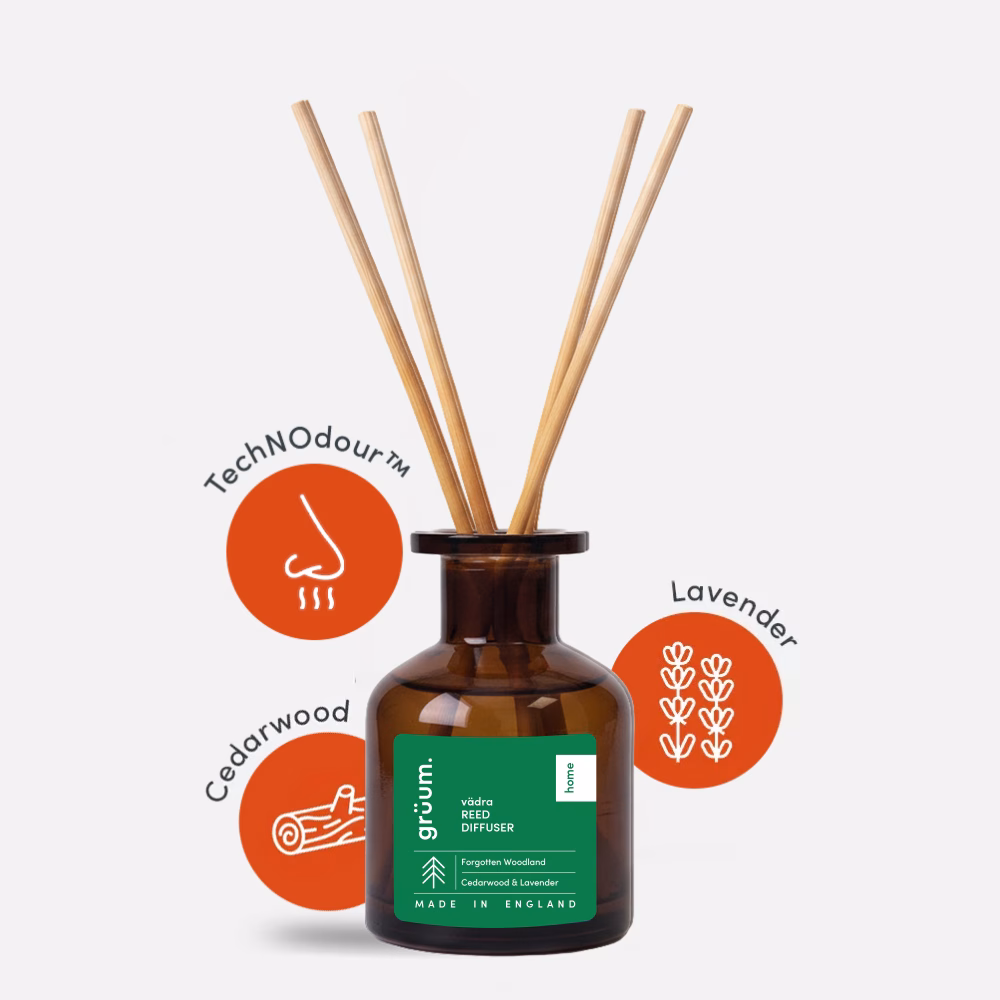 Reed diffuser with wooden sticks